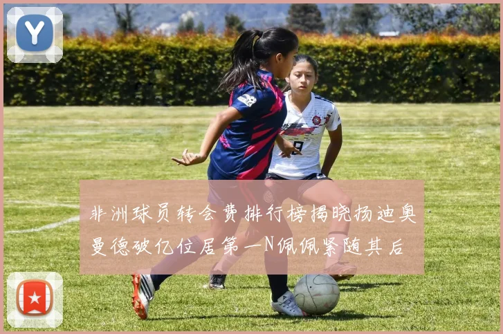 非洲球员转会费排行榜揭晓扬迪奥曼德破亿位居第一N佩佩紧随其后