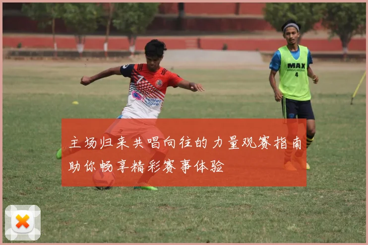 主场归来共唱向往的力量观赛指南助你畅享精彩赛事体验